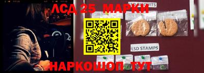 индика Рузаевка