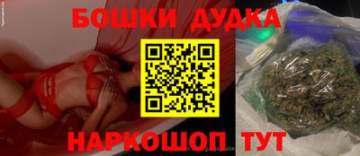индика Рузаевка