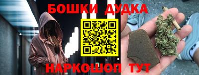 индика Рузаевка