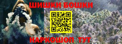 индика Рузаевка