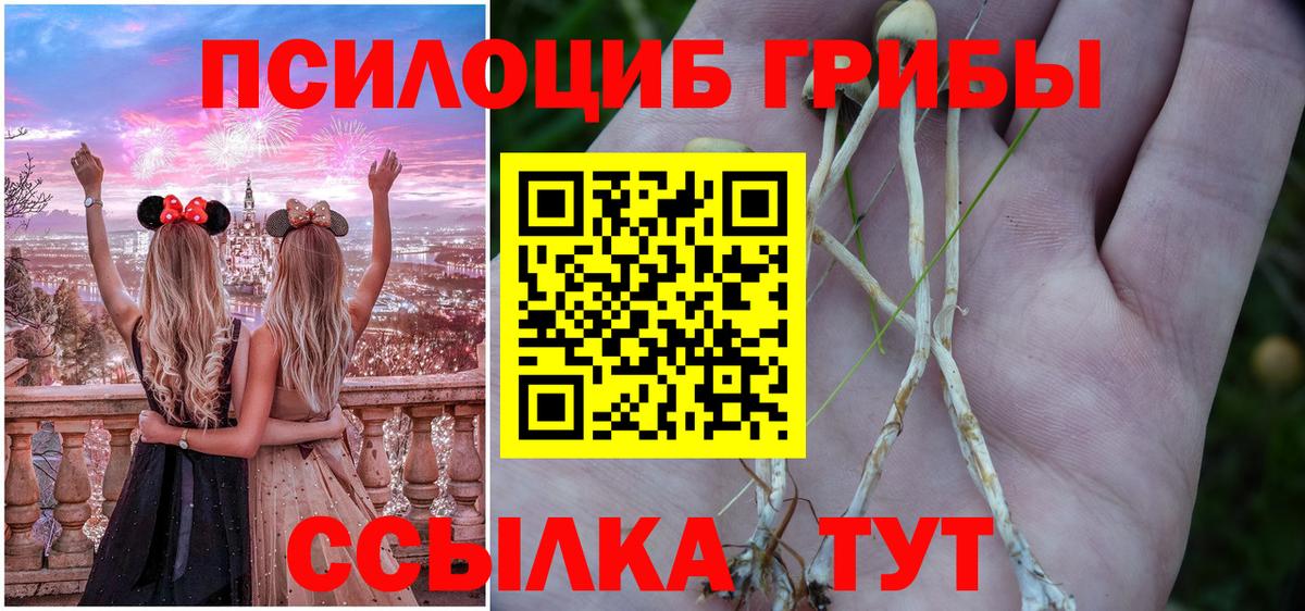 Псилоцибиновые грибы Psilocybe  Вход с VPN  Октябрьский 